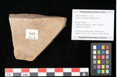 Foto (Objekt + Etikett) von Quercus palaeoilex Ettingshausen (NHMW-GEO-2024-0188-0913)